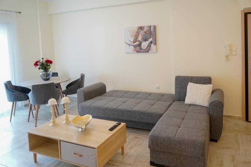 יואנינה Modern Apartment In The City Center מראה חיצוני תמונה